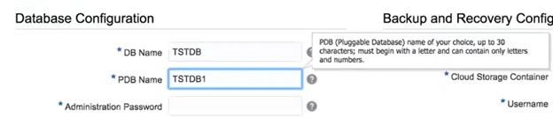 Database Configure